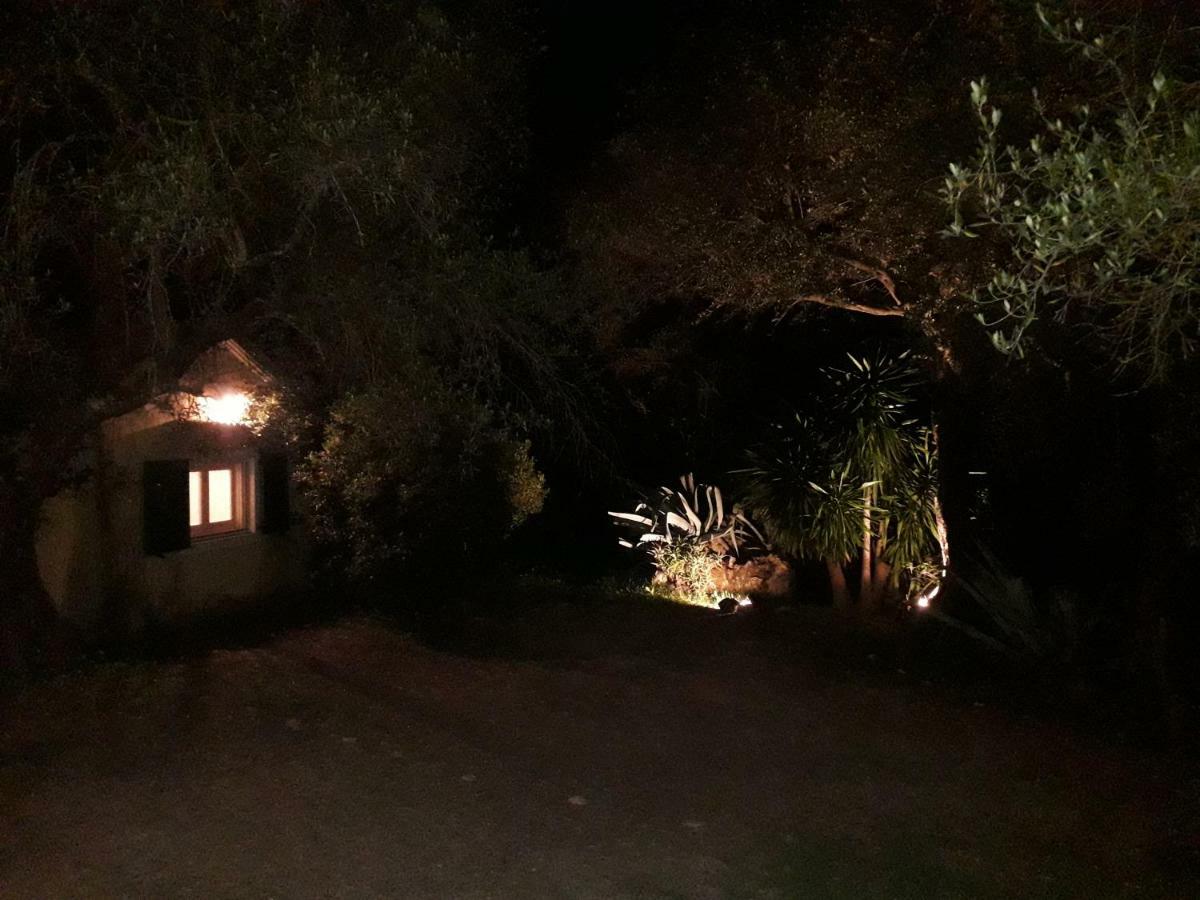 House In The Olive Garden * Agios Ioannis (Corfu)