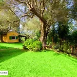 House In The Olive Garden