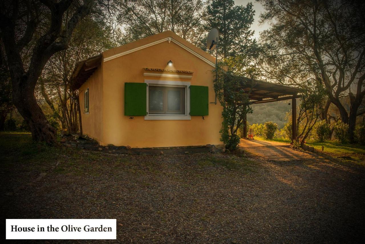 Appartement House In The Olive Garden *