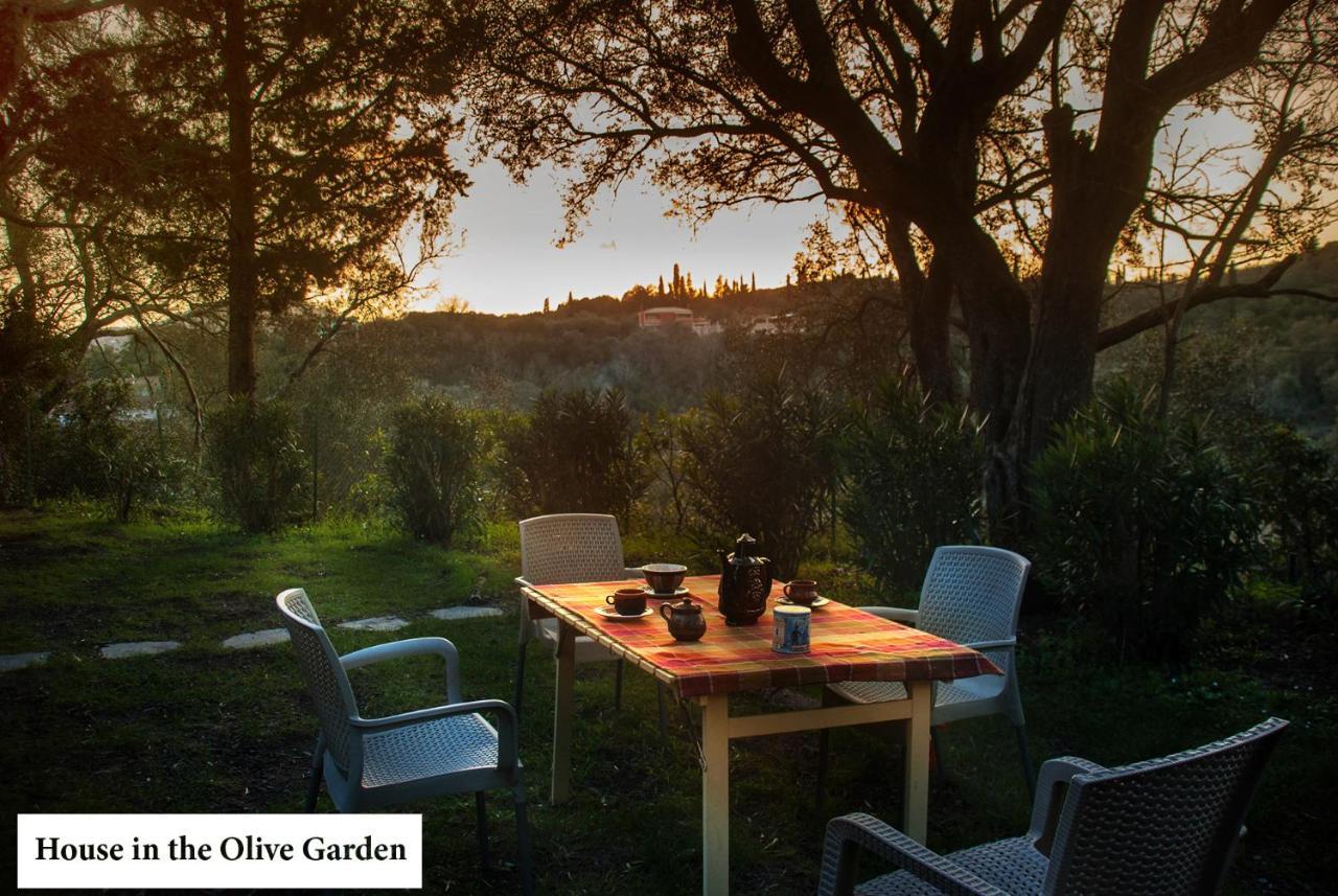 Appartement House In The Olive Garden