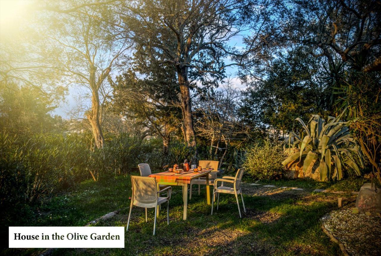 House In The Olive Garden Ágios Ioánnis