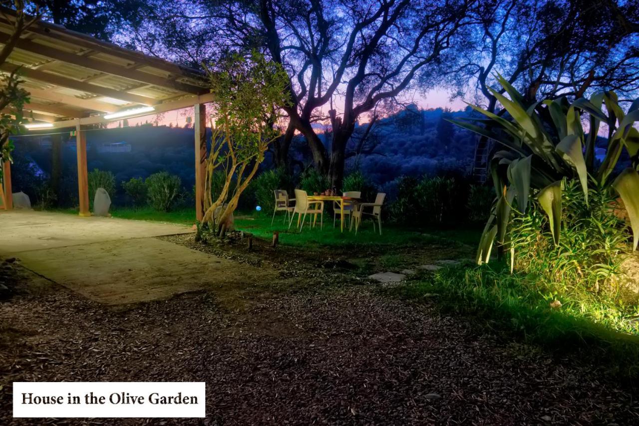 House In The Olive Garden Appartement