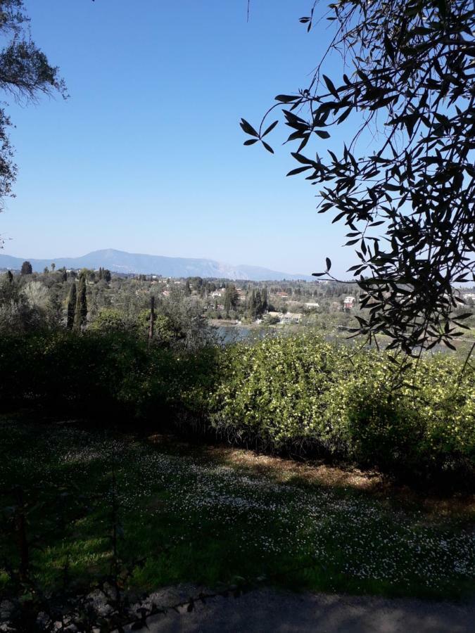 Appartement House In The Olive Garden Ágios Ioánnis