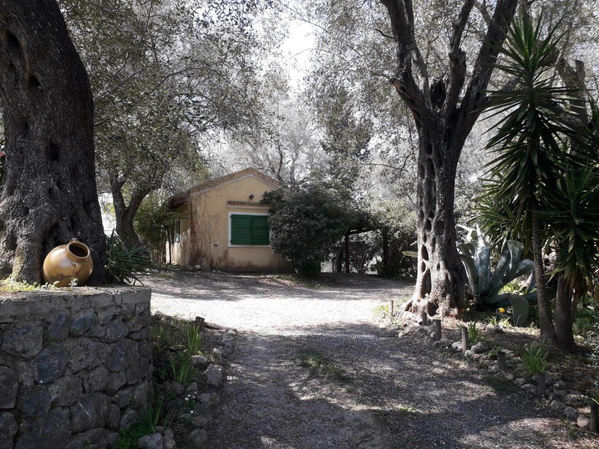 House In The Olive Garden Appartement Ágios Ioánnis