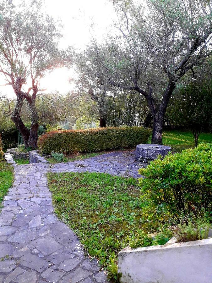 House In The Olive Garden Appartement